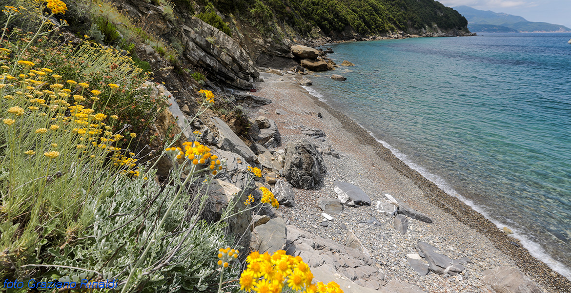 Insel Elba, Viticcio, Strand