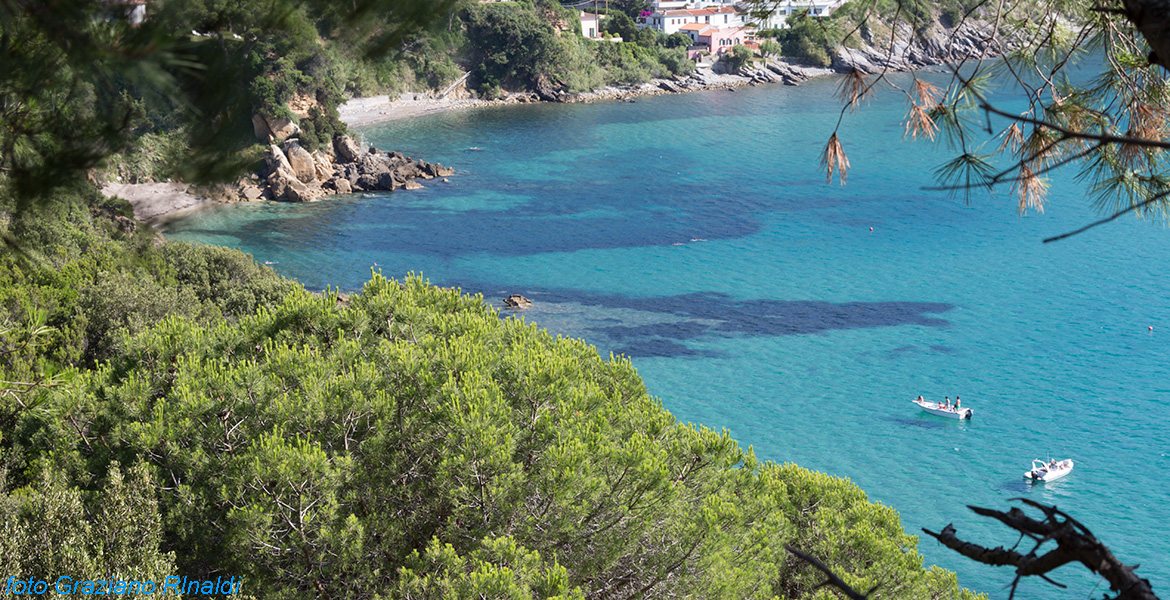 Insel Elba, Viticcio, Punta Penisola, blauen Wasser