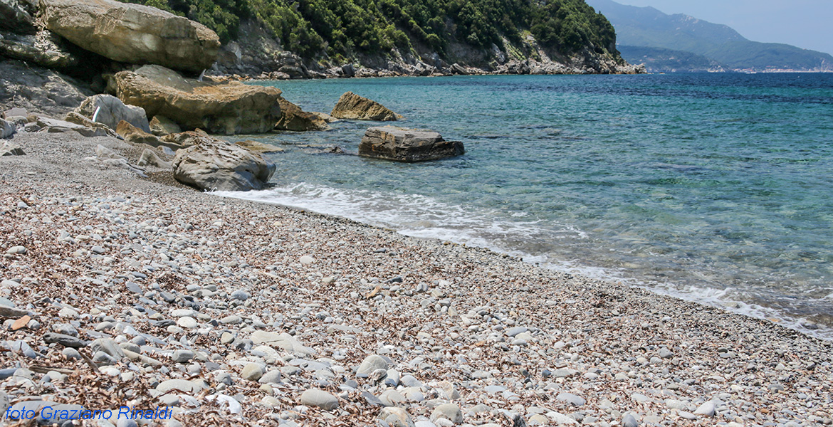 InseL Elba, Viticcio, Portoferraio, Kiese