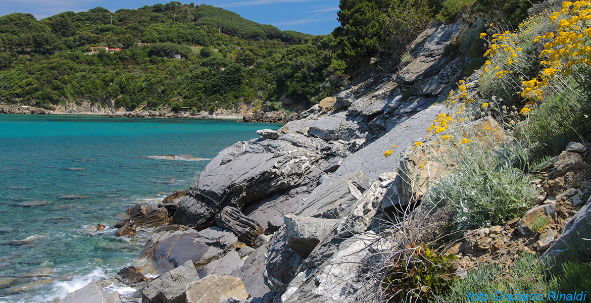 Insel Elba, Viticcio, Felsen