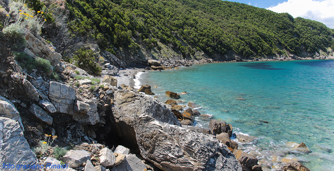 Insel Elba, Viticcio, Meer, Felsen