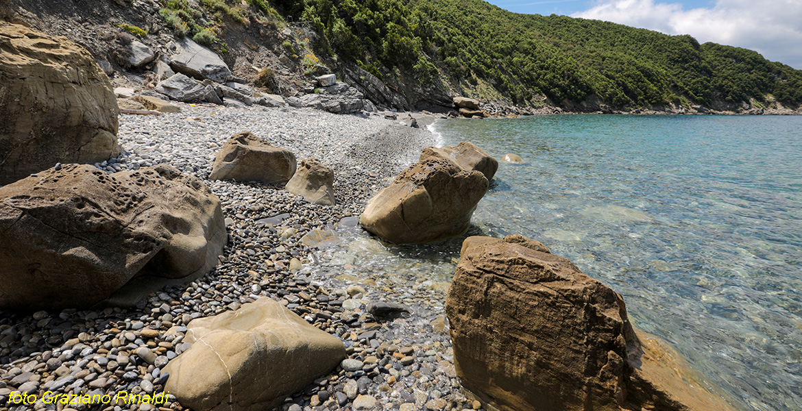 Insel Elba, Viticcio, Strand, Felsen