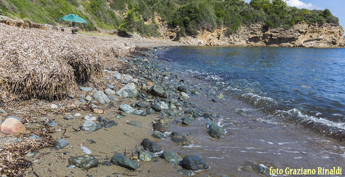 Insel Elba, Norsi, Meer, Strand, Steine