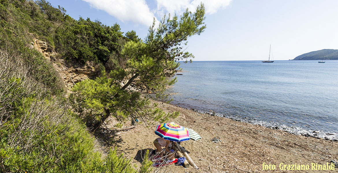 Insel Elba, Norsi, Meer, Strand, Leute, Baum