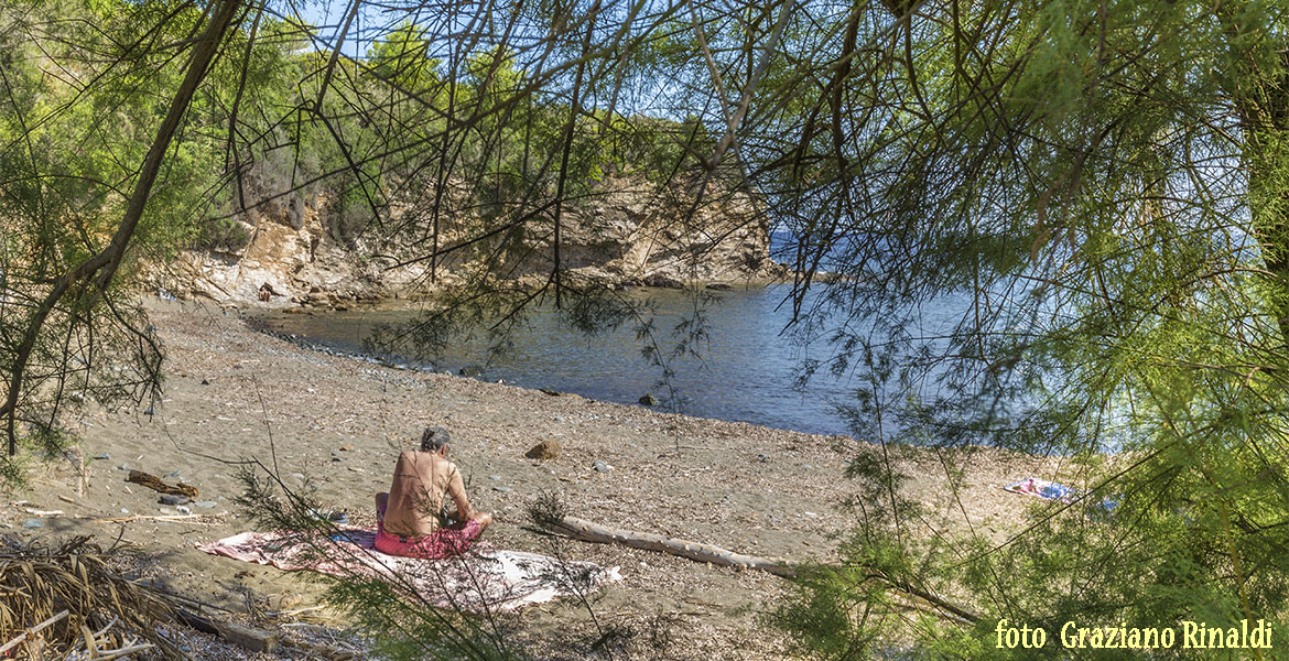 Insel Elba, Norsi, Meer, Strand,