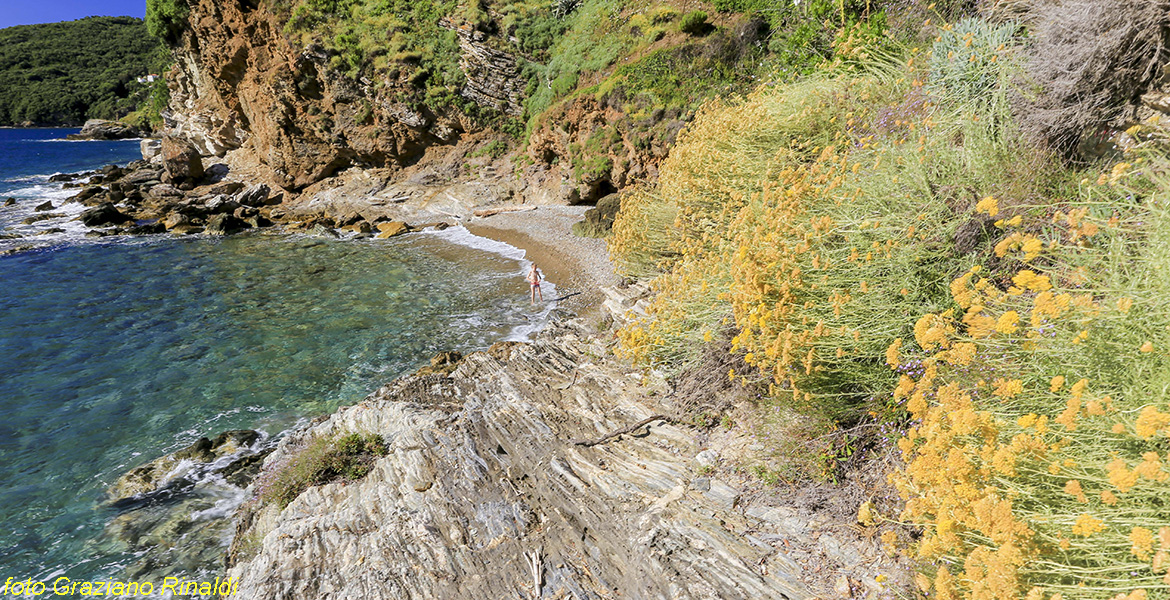 Insel Elba, Gennaro, Strand, Meer