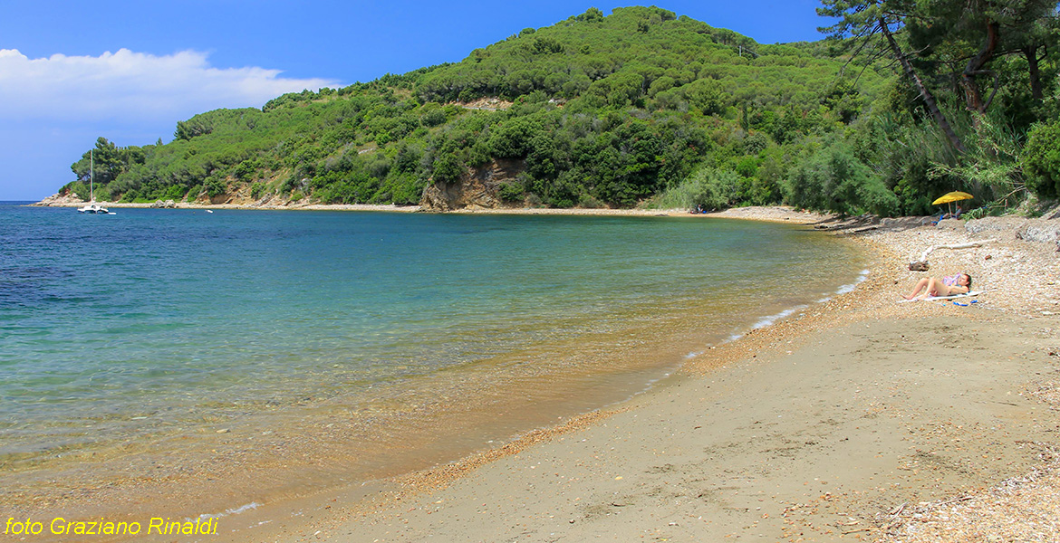 Insel Elba, Ottonella, Ottonella Strand, Meer, Italien, Toskana, Elba Urlaub, transparent Wasser