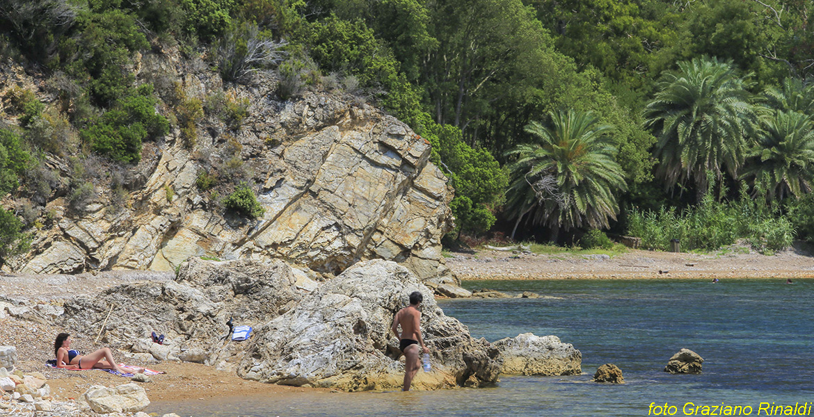 Insel Elba, Ottonella, Ottonella Strand, Meer, Italien, Toskana, Elba Urlaub