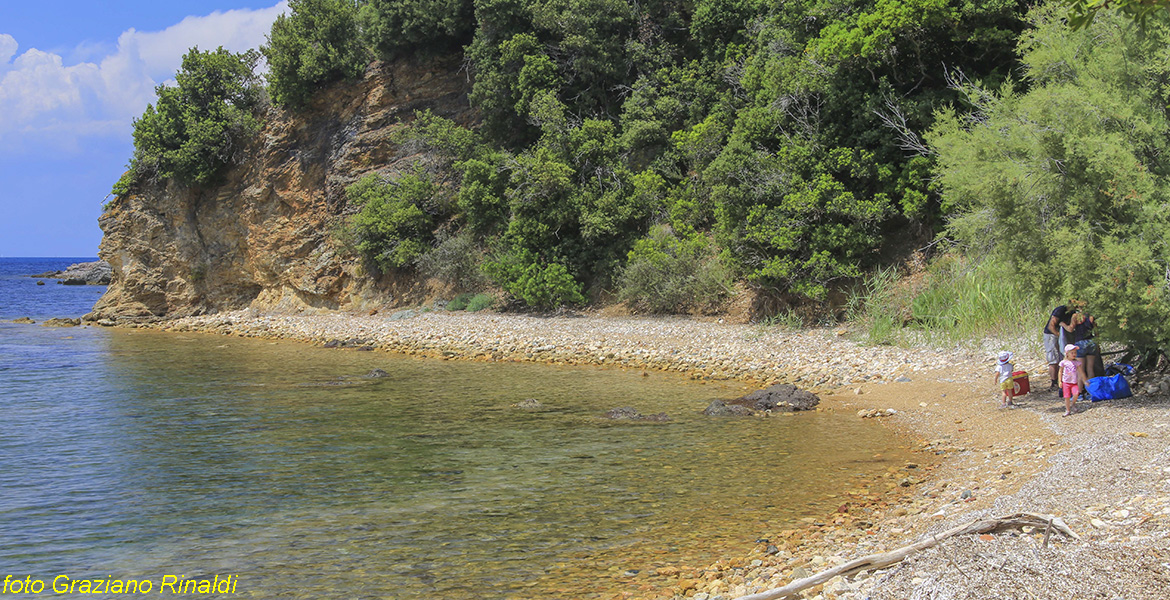 Insel Elba, Ottonella, Ottonella Strand, Meer, Italien, Toskana, Elba Urlaub