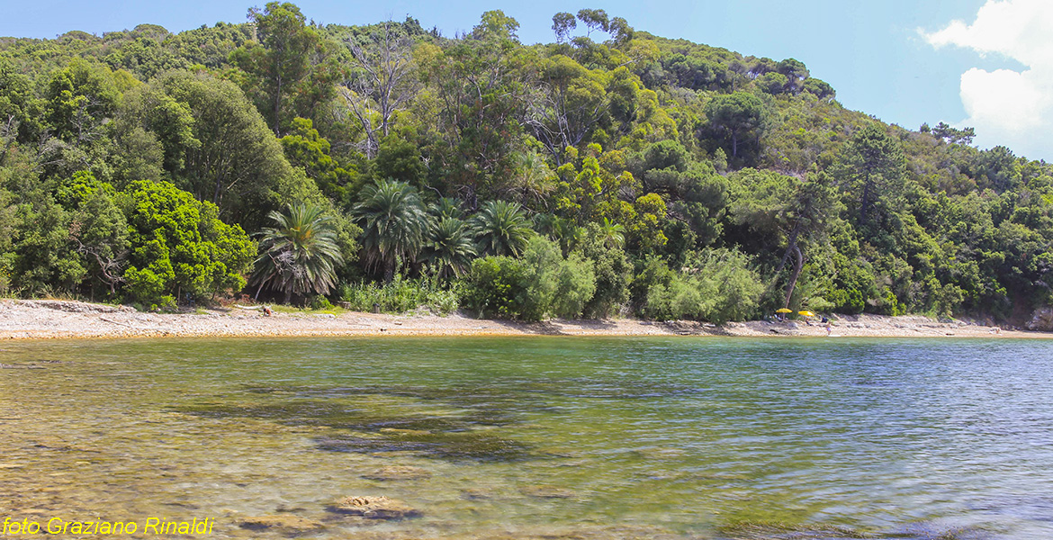 Insel Elba, Ottonella, Ottonella Strand, Meer, Italien, Toskana, Elba Urlaub