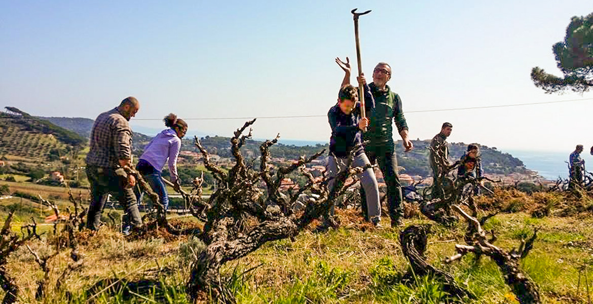 Insel Elba, Hacke, Schule, Traditionen, Natur