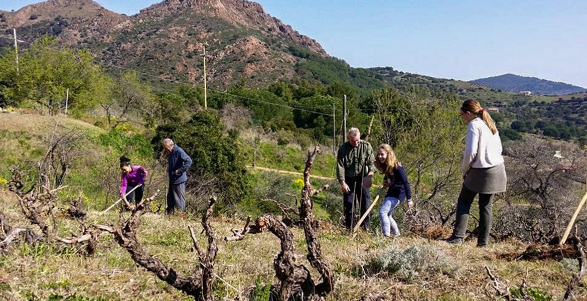 Insel Elba, Hacke, Schule, Traditionen, Natur