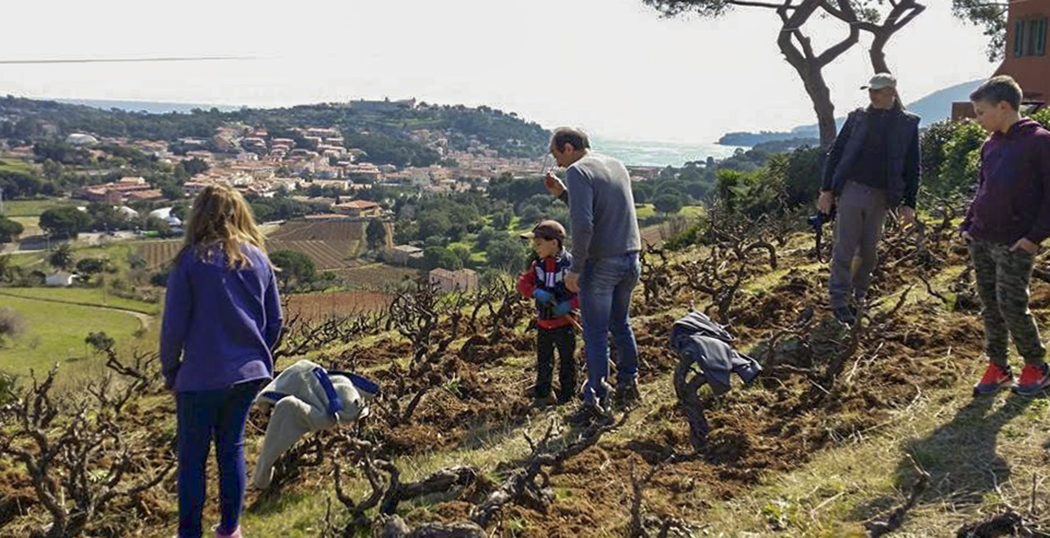 Insel Elba, Hacke, Schule, Traditionen, Natur