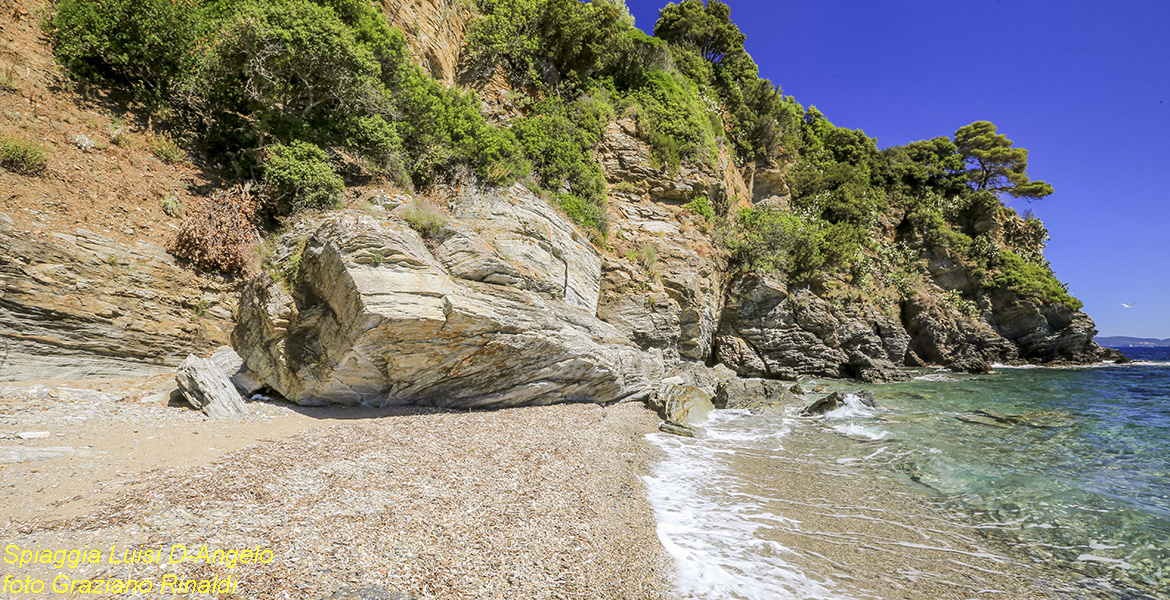 Insel Elba, Meer, Toskana, Urlaub, Luisi d'angelo, Mittelmeer