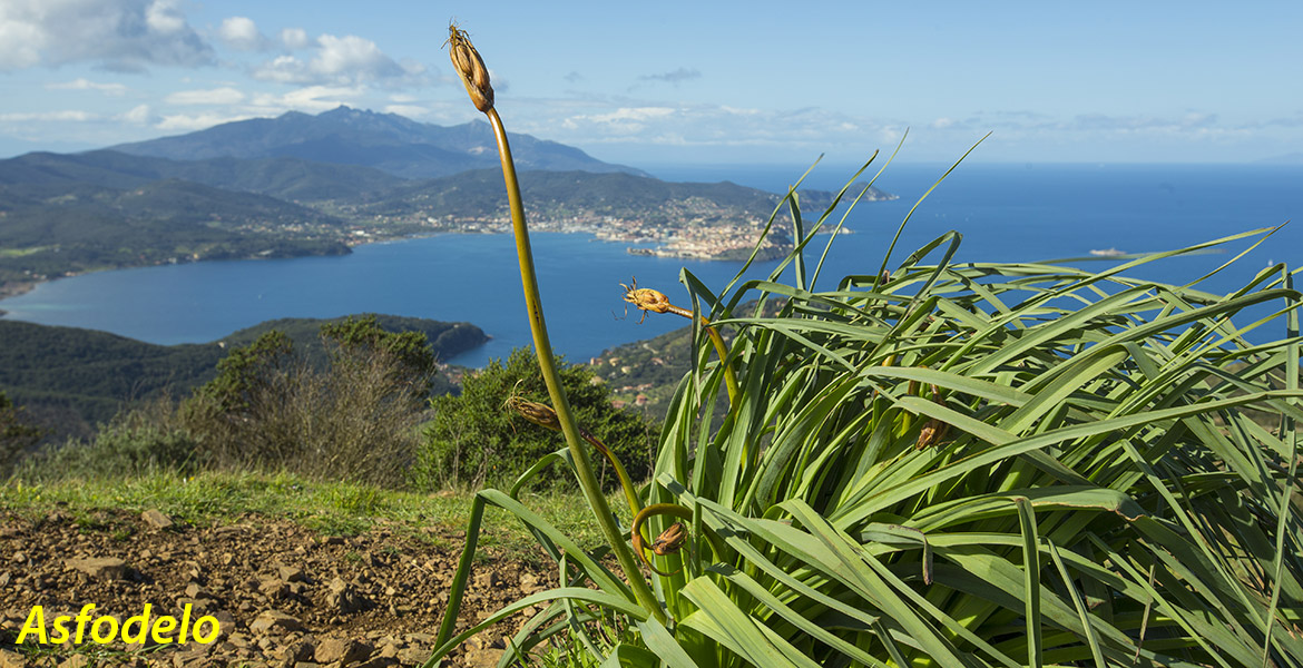 Insel Elba, Natur, trekking, Fruehling